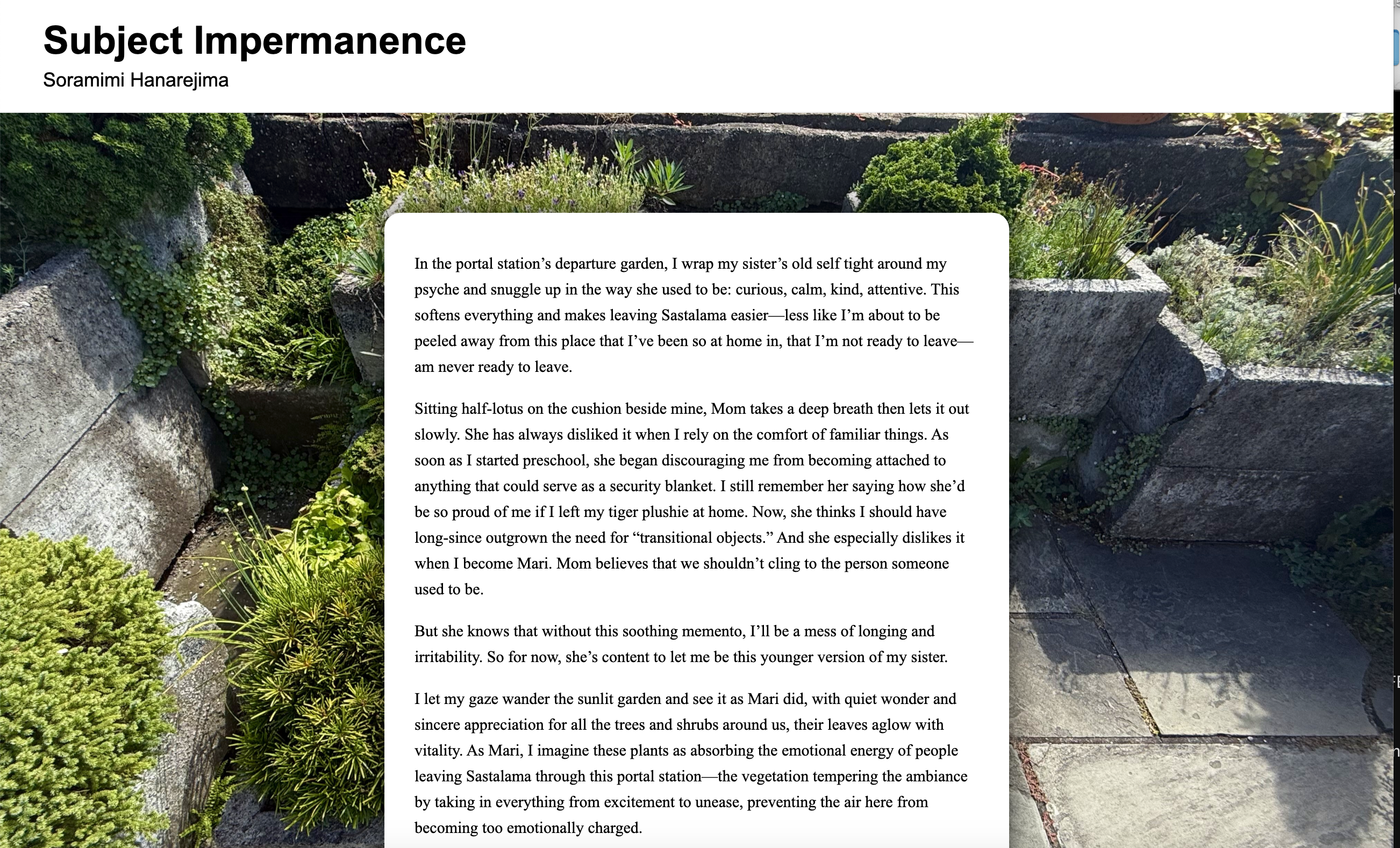 Subject Impermanence preview