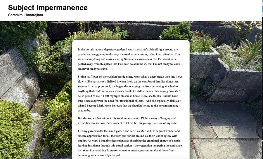 Subject Impermanence preview